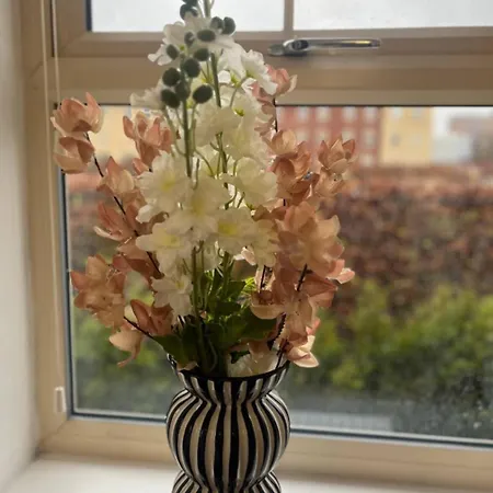 Δωμάτια σε οικογενειακή κατοικία Charming And Private Bathroom In Home, Walking Distance To Center With Free Parking